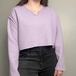 Urban Outfitters Lavender Cropped Ribbed Long Sleeve Top Size M